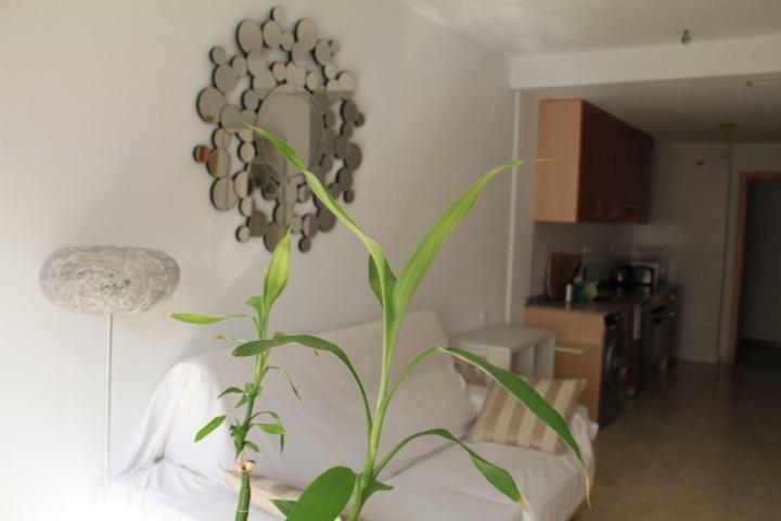 Sunny Apartments, Alicante Centre מראה חיצוני תמונה