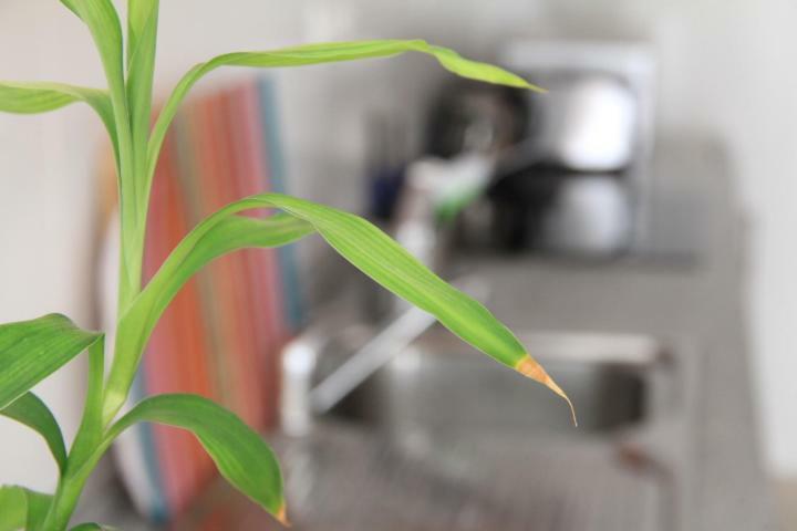 Sunny Apartments, Alicante Centre מראה חיצוני תמונה